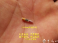 2*12mm聲納芯片