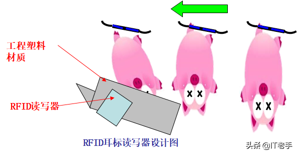 RFID（無線射頻識別）技術(shù)在生豬飼養(yǎng)及屠宰廠的應(yīng)用方案