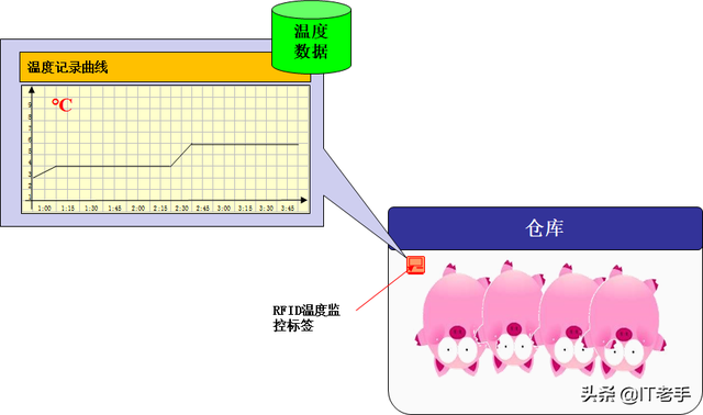 RFID（無線射頻識別）技術(shù)在生豬飼養(yǎng)及屠宰廠的應(yīng)用方案