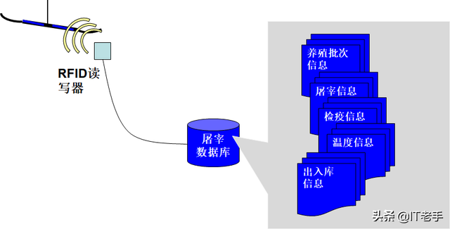 RFID（無線射頻識別）技術(shù)在生豬飼養(yǎng)及屠宰廠的應(yīng)用方案