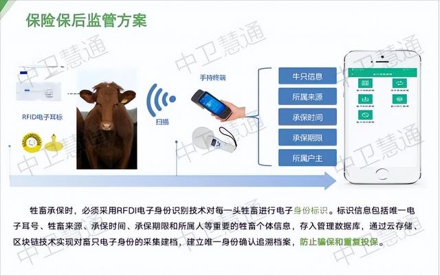 畜牧養(yǎng)殖保險(xiǎn)的新嘗試，智能耳標(biāo)與養(yǎng)殖平臺(tái)監(jiān)管