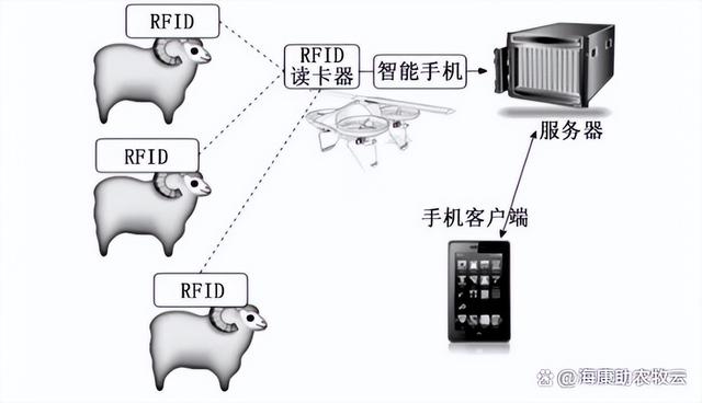 RFID電子耳標(biāo)丨智慧畜牧新選擇