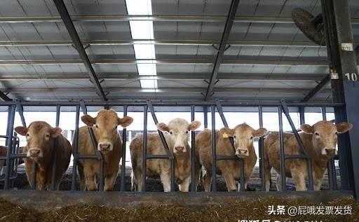 動物智能測溫手持全制式溫感棒形電子耳標識讀器