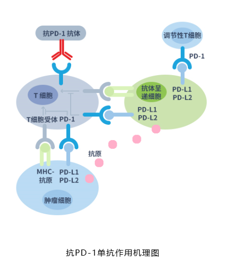 從黑燈工廠到私人訂制 智能制造“上海方案”角逐