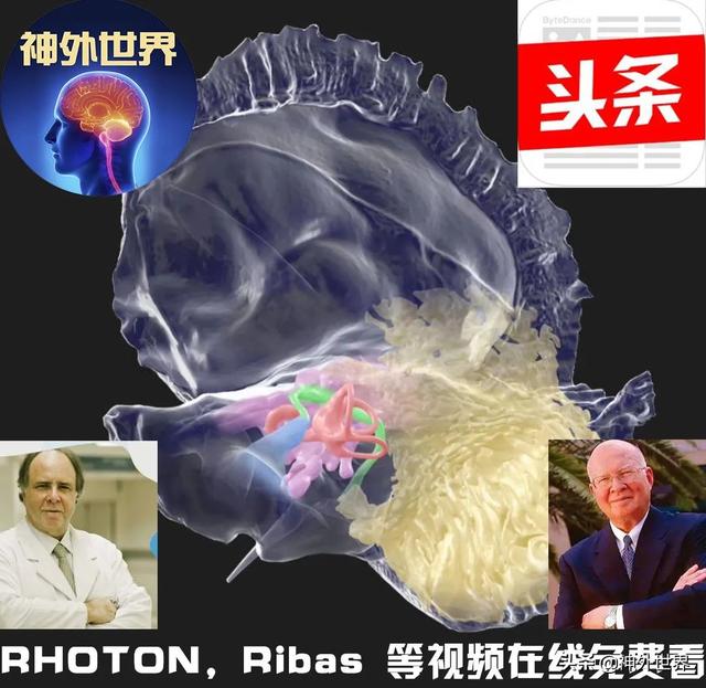 顳骨基礎解剖知識復習