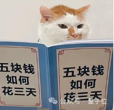 AI視頻突飛猛進(jìn)這一年，國(guó)產(chǎn)之光可靈AI笑到最后