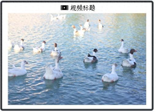 AI飛速發(fā)展，人們還有工作嗎？這是Altman的回答