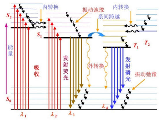 如果不斷用AI來對(duì)話AI,最終它會(huì)變成什么樣子? | No.449