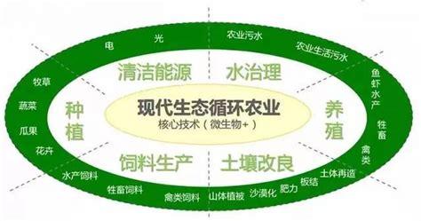 物聯(lián)網(wǎng)基礎(chǔ)知識(shí)：從入門到應(yīng)用
